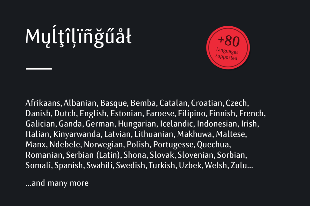 14 Zoran Multilingual